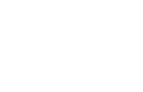 vd logo