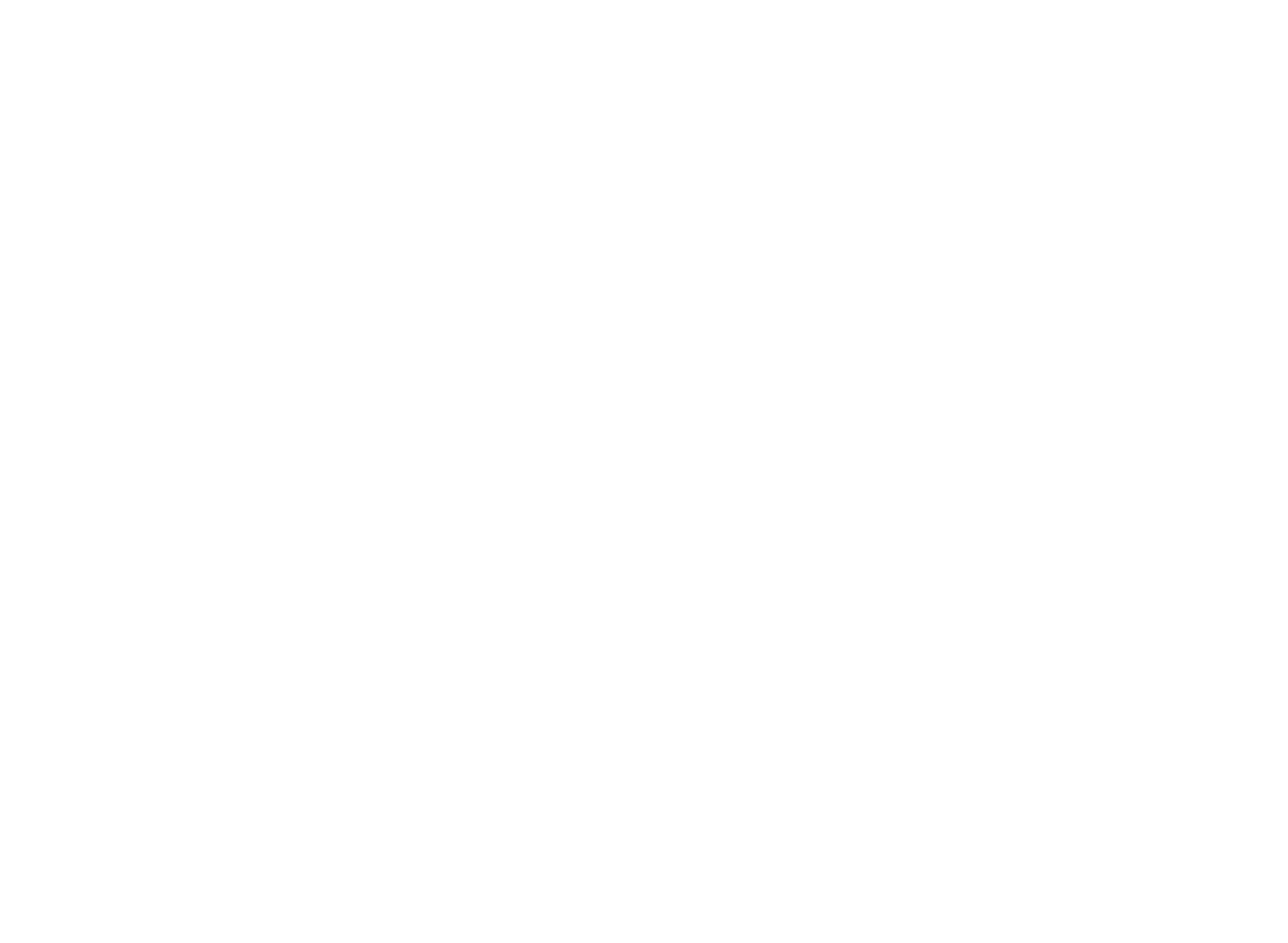 Logo for The Village Doctor, established 2004