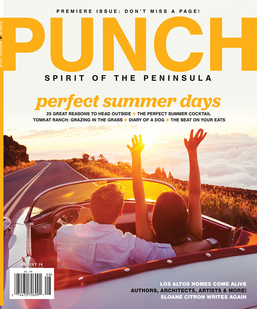 Punch! The Spirit of Peninsula The Village Doctor