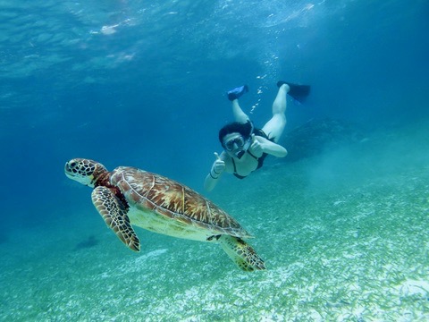 Dr. Angela Jiang snorkeling with a turtle