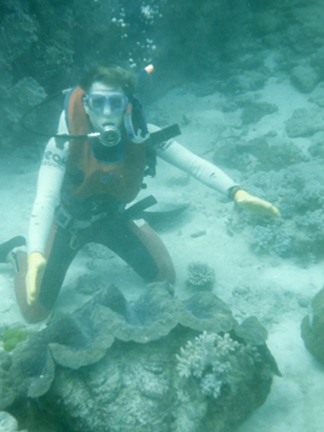 Diver exploring underwater coral reef.